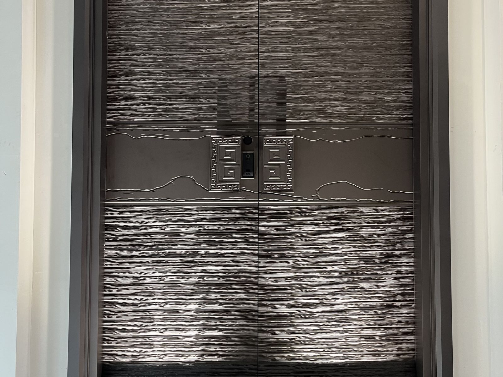 Aluminum Entry Doors