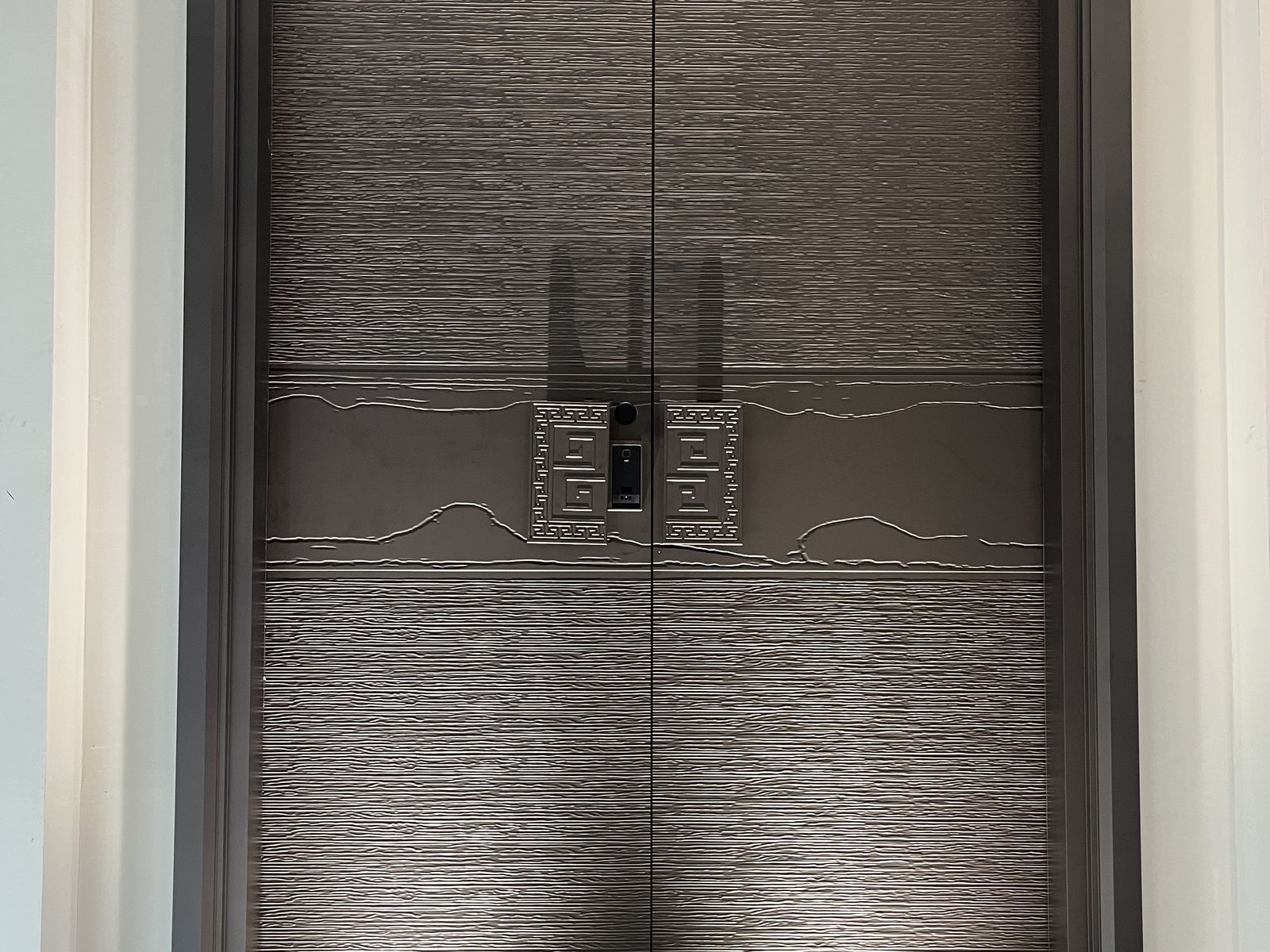 Aluminum Entry Doors