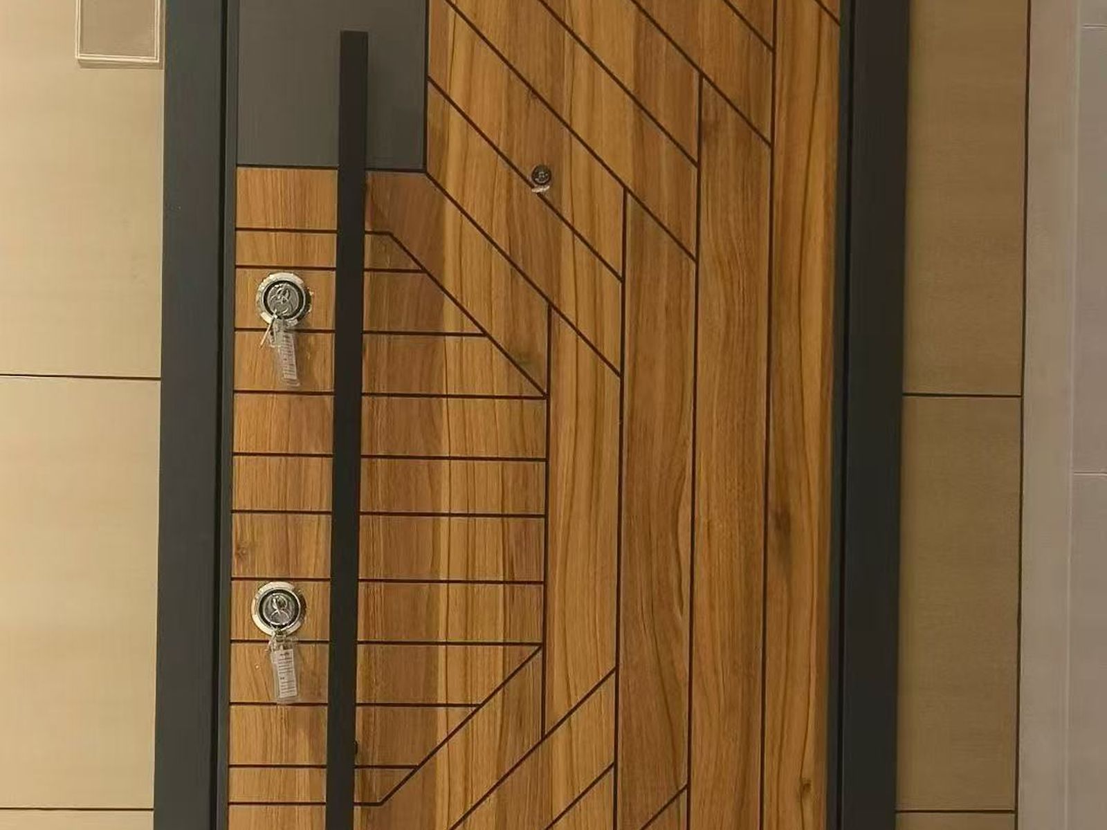 Stainless Steel Doors