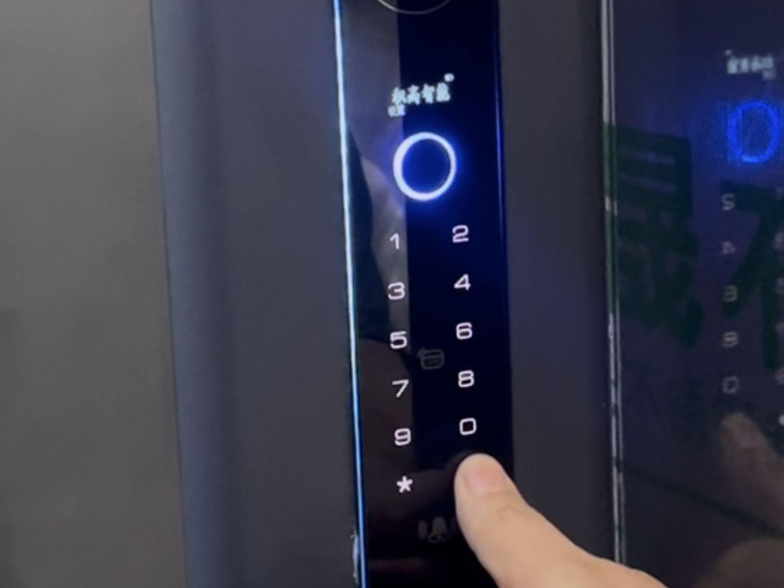 Stainless Steel Doors detail