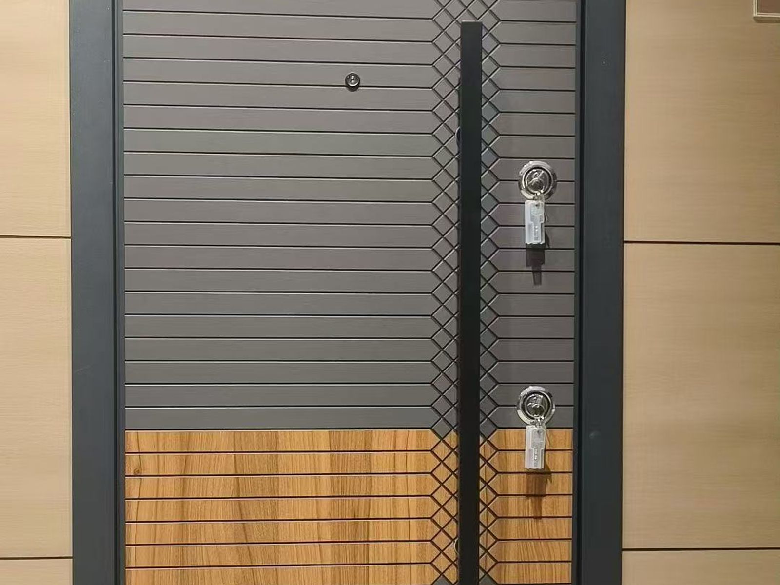 Stainless Steel Doors