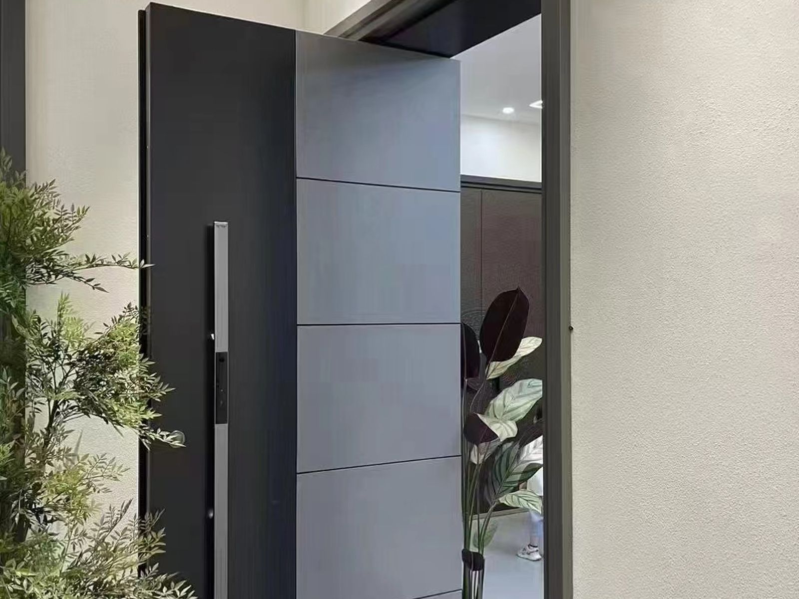 Stainless Steel Doors project